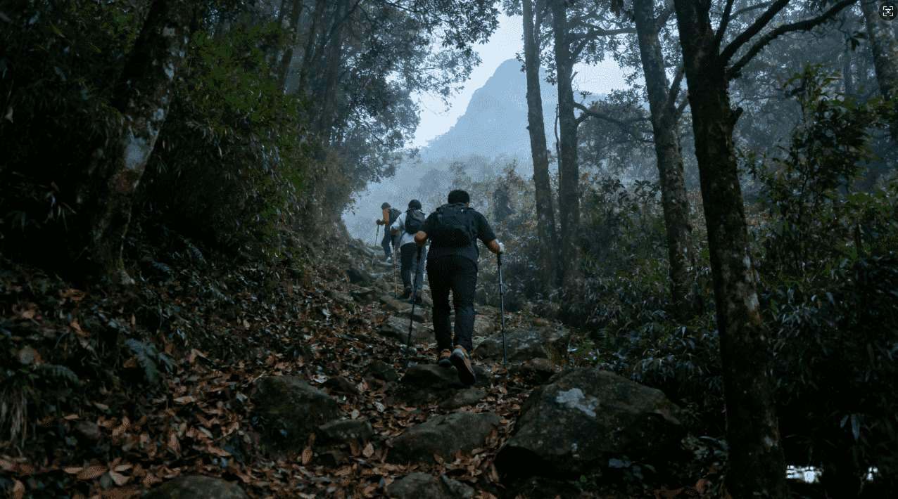 坚果加速器专为游戏玩家定制的加速服务